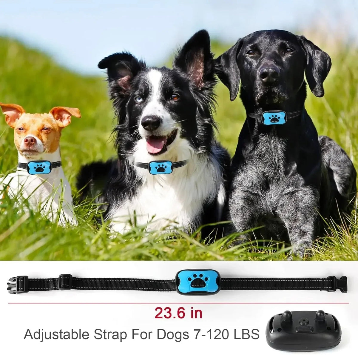 Collier Anti-Aboiement pour Chien avec Entraînement par Vibration Sûre