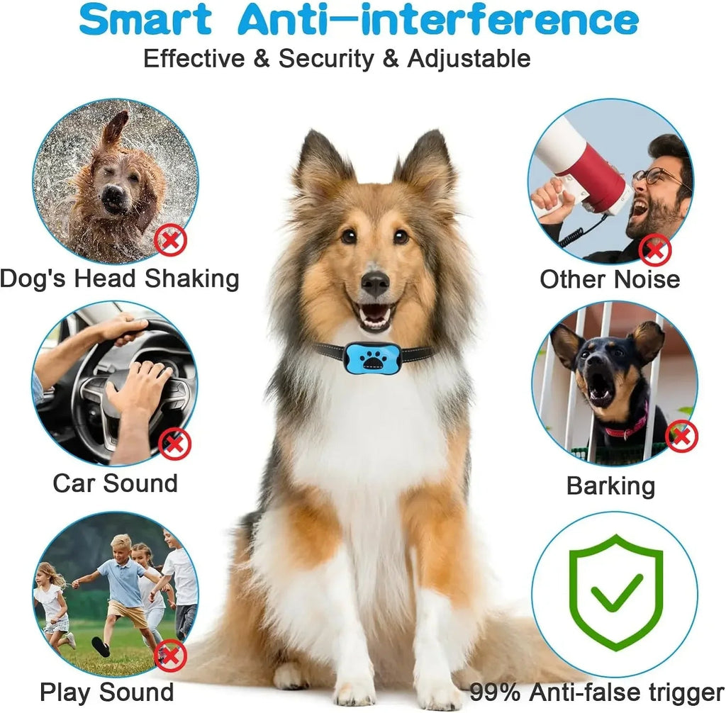 Collier Anti-Aboiement pour Chien avec Entraînement par Vibration Sûre