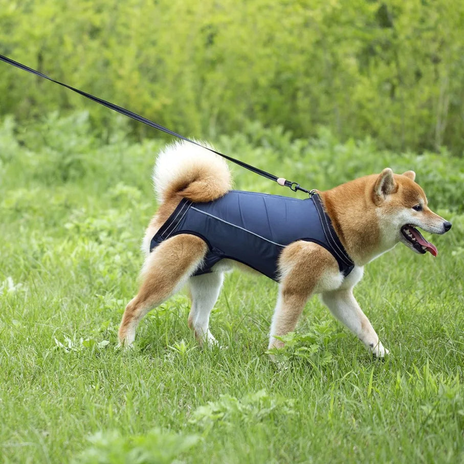 Harnais de levage ajustable pour chiens blessés et âgés