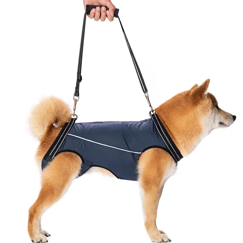 Harnais de levage ajustable pour chiens blessés et âgés