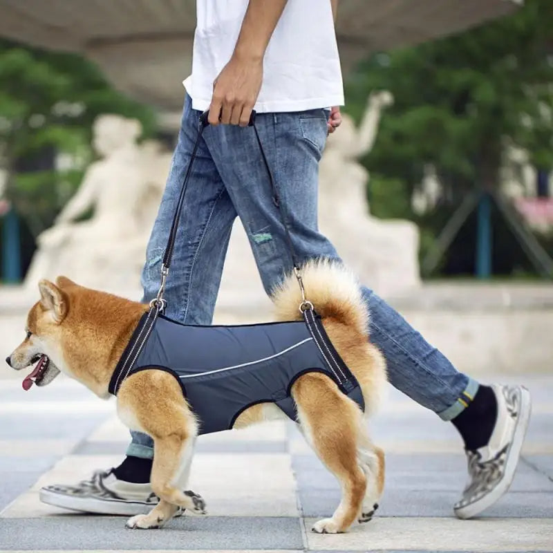 Harnais de levage ajustable pour chiens blessés et âgés