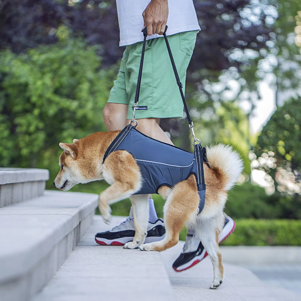 Harnais de levage ajustable pour chiens blessés et âgés