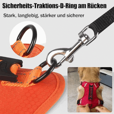 💥Vente de liquidation 49 % DE RABAIS🐕Harnais anti-traction pour animaux de compagnie