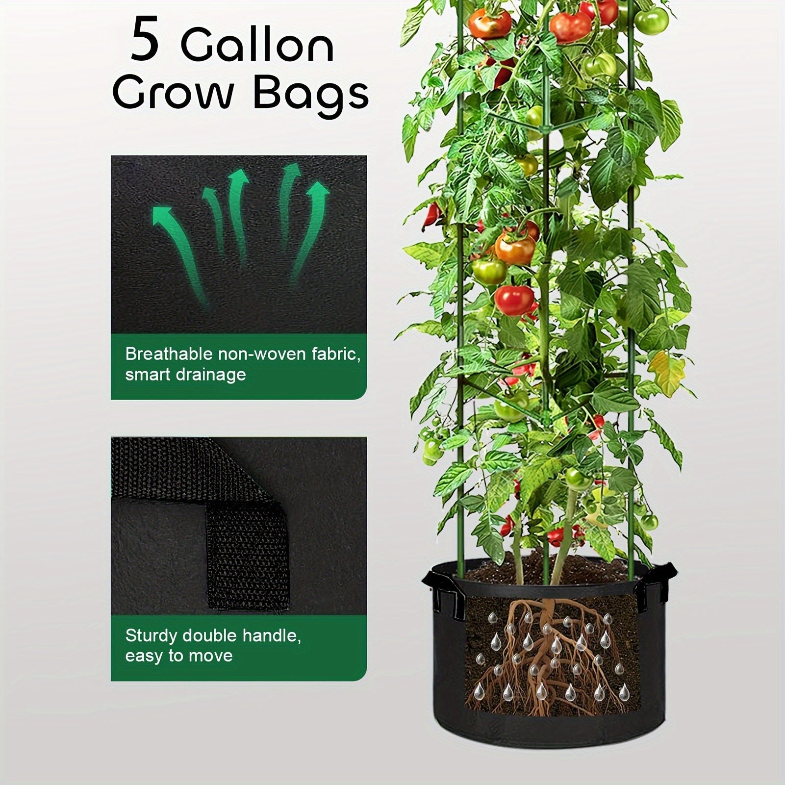 TOMABOX – Support Structuré pour la Culture de Tomates & Grande Capacité