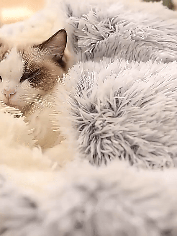 Lit pour animaux Cozy Cave | Lit pour chien apaisant et confortable pour une profonde détente