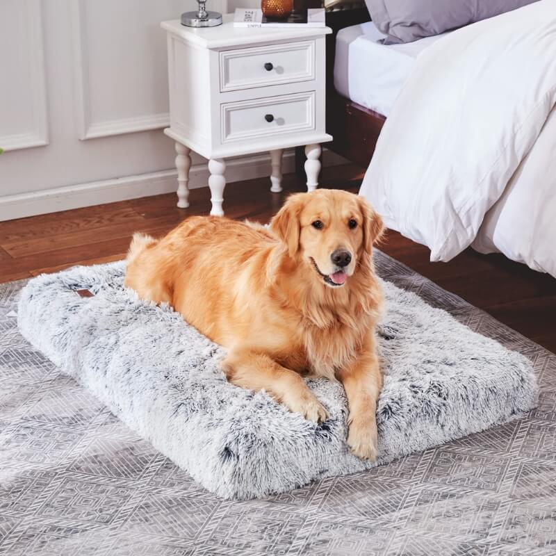 Coussin Orthopédique pour Chien - Marron, Tailles L-XXL pour le Confort