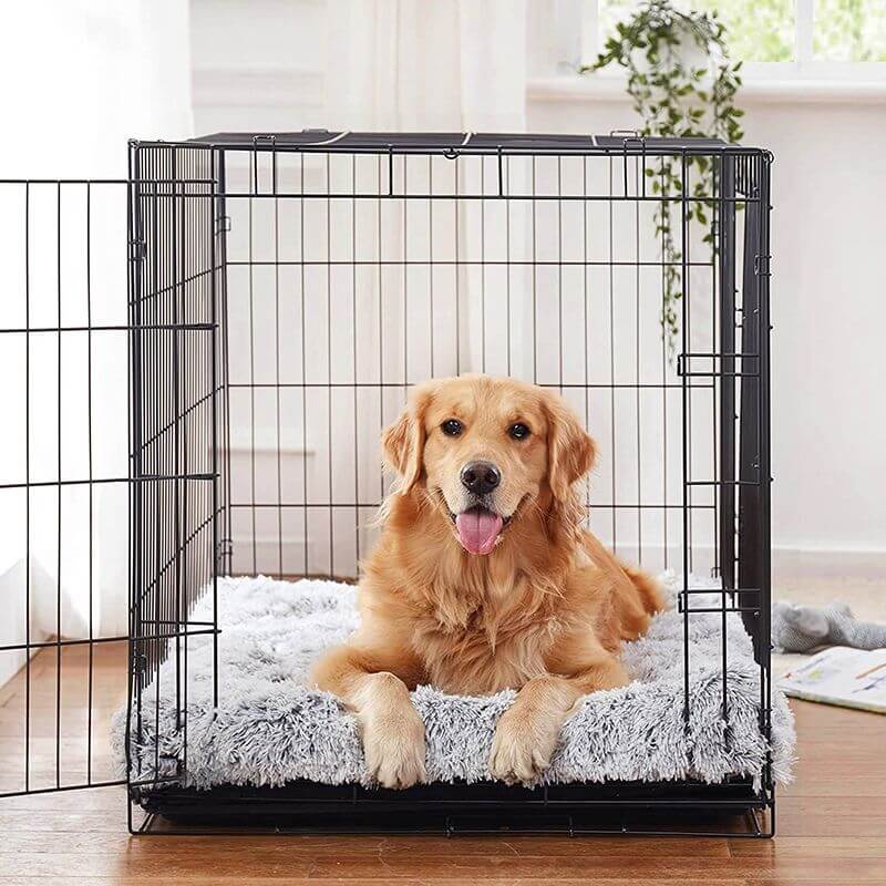 Coussin Orthopédique pour Chien - Marron, Tailles L-XXL pour le Confort