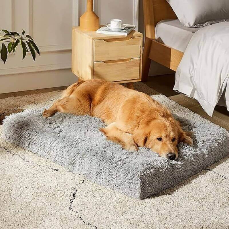 Coussin Orthopédique pour Chien - Marron, Tailles L-XXL pour le Confort