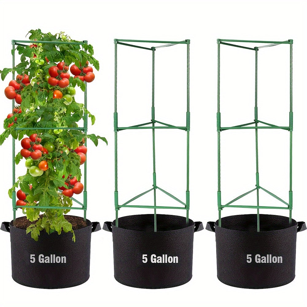 TOMABOX – Support Structuré pour la Culture de Tomates & Grande Capacité