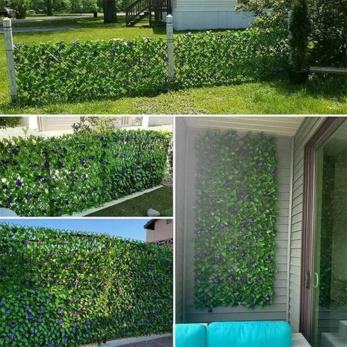 GrünSchleier™ Protection Visuelle Luxuriante Instantanée