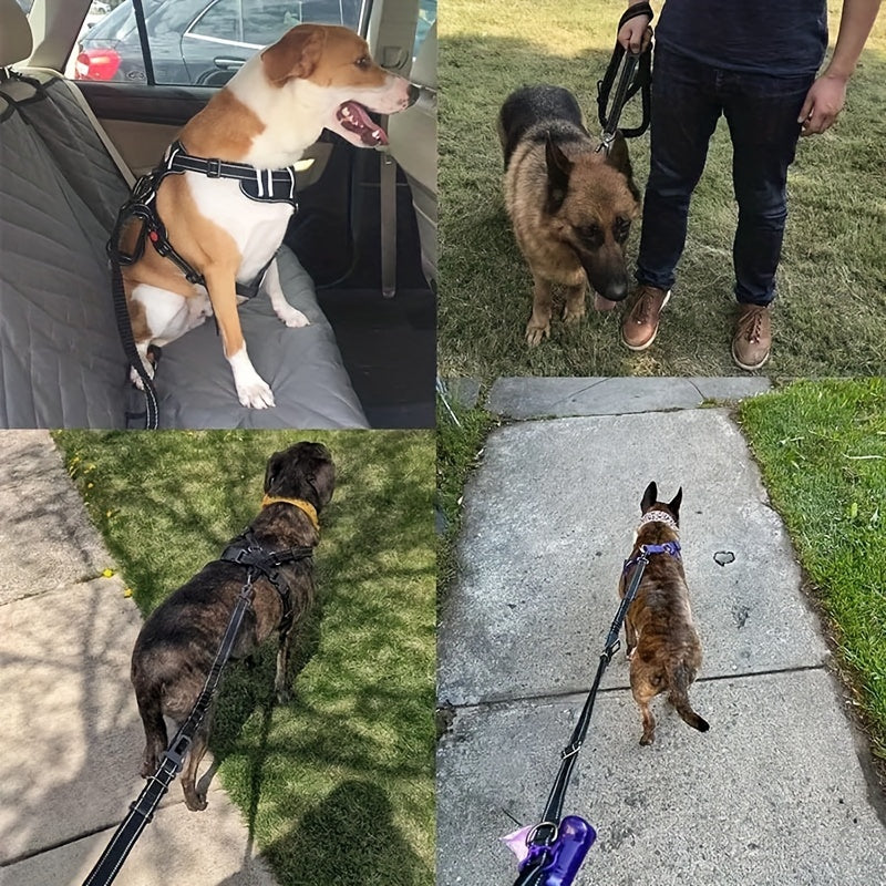 Laisse à Bungee Réglable pour Chiens – Amortissante et Réfléchissante pour Grands Chiens