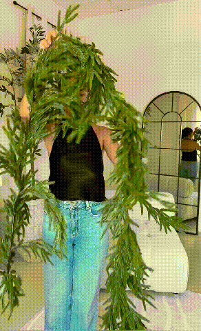 KiefernGlanz™ Accent festif toujours vert