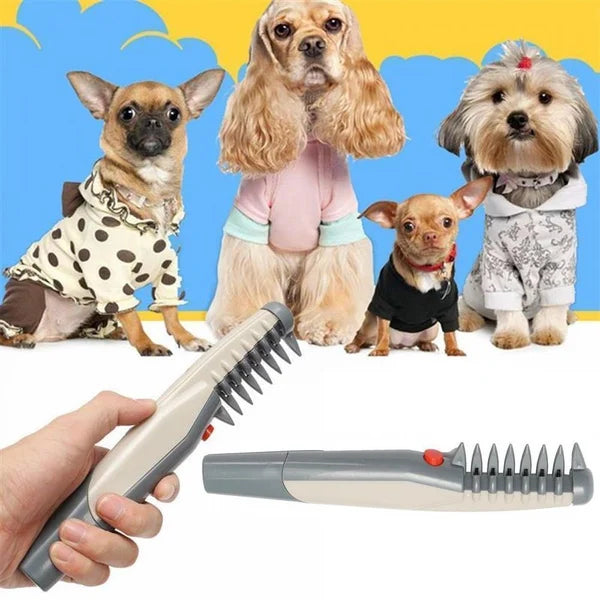 Tondeuse Électrique pour Chiens et Chats - RexTrim