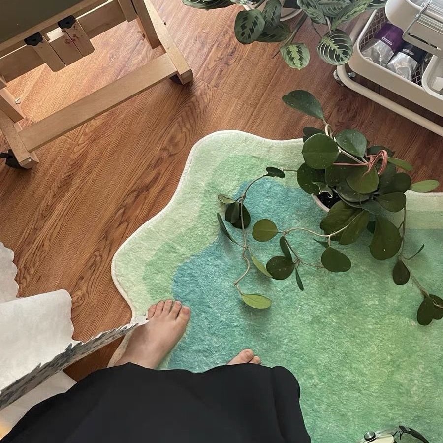 Tapis ombre tendance doux et moelleux