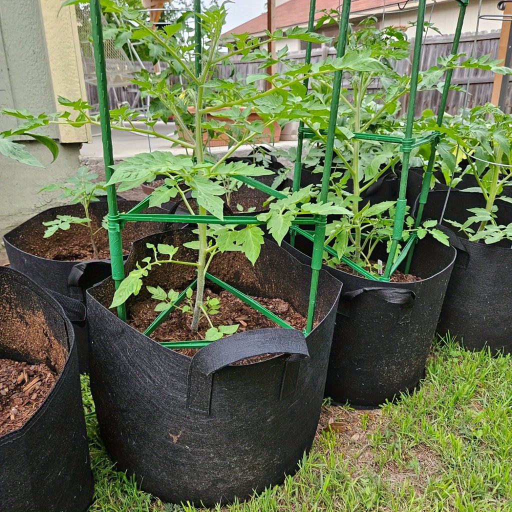 TOMABOX – Support Structuré pour la Culture de Tomates & Grande Capacité