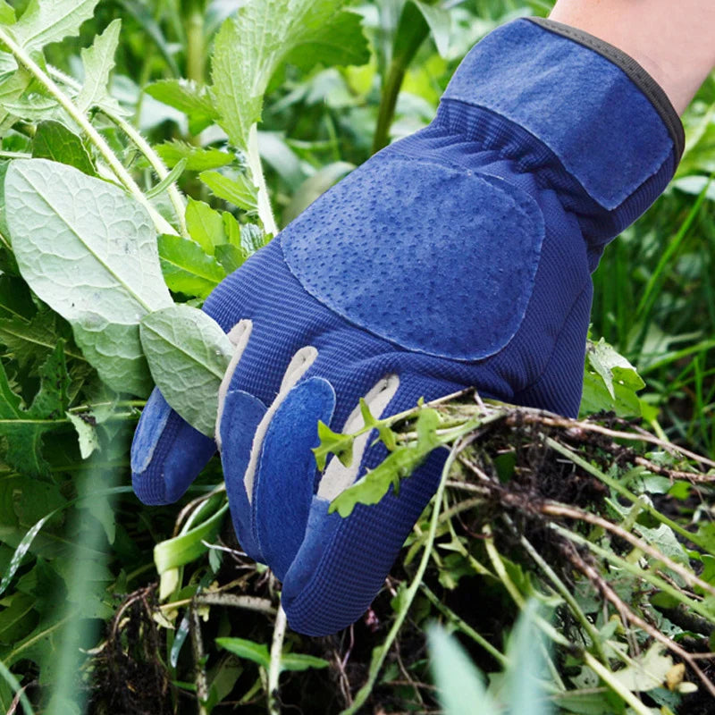 AntiStachel – Protection supérieure contre les coupures et les égratignures lors du jardinage