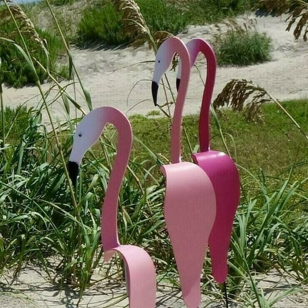 🐓Flamingo tourbillonnant dans le jardin💖