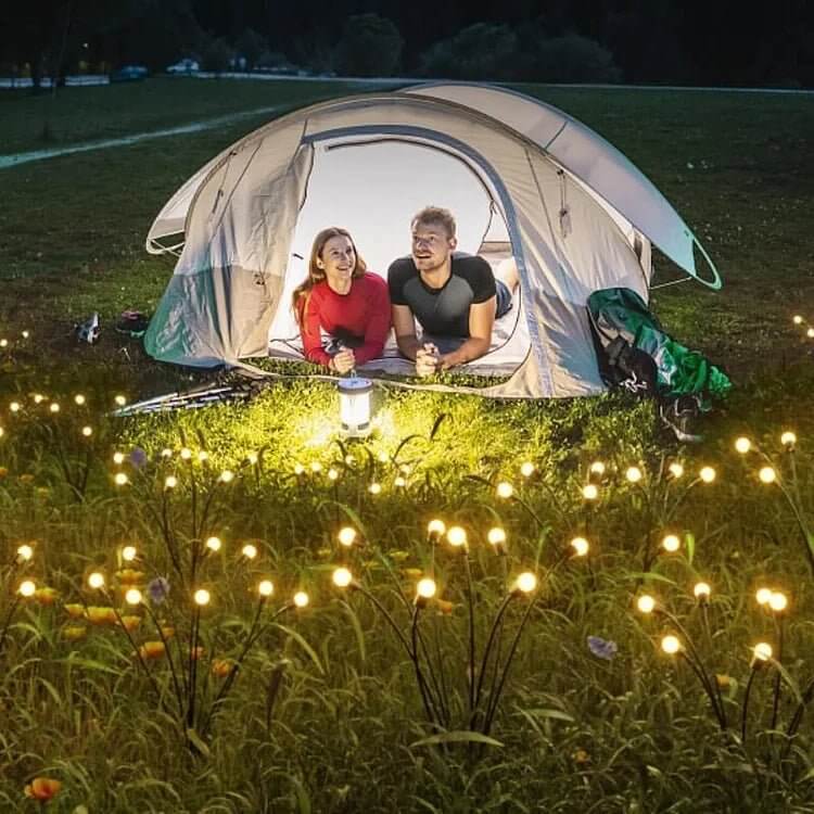 Lampes LED Papillon Solaire