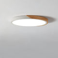 Lampe de Plafond LED Moderne - Éclairage Minimaliste pour Votre Intérieur