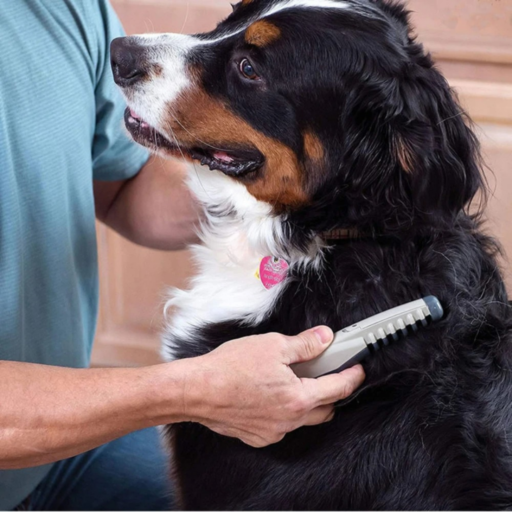 Tondeuse à Poils pour Animaux de Compagnie – Sans Nœuds & Douce