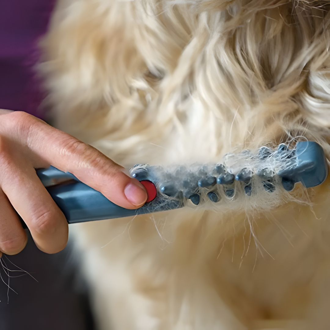 Tondeuse à Poils pour Animaux de Compagnie – Sans Nœuds & Douce