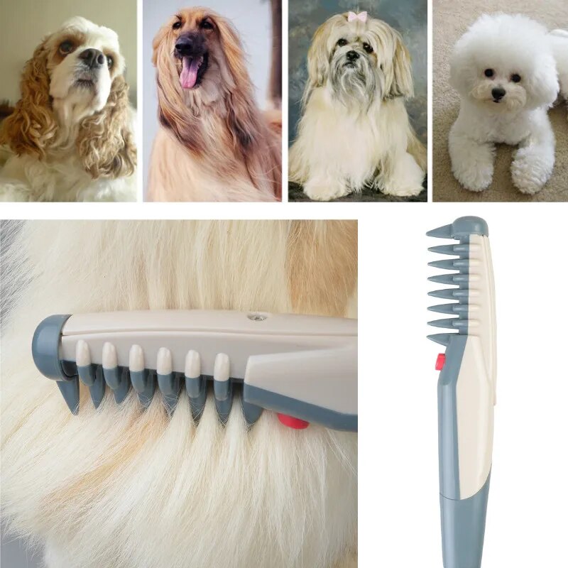 Tondeuse Électrique pour Chiens et Chats - RexTrim