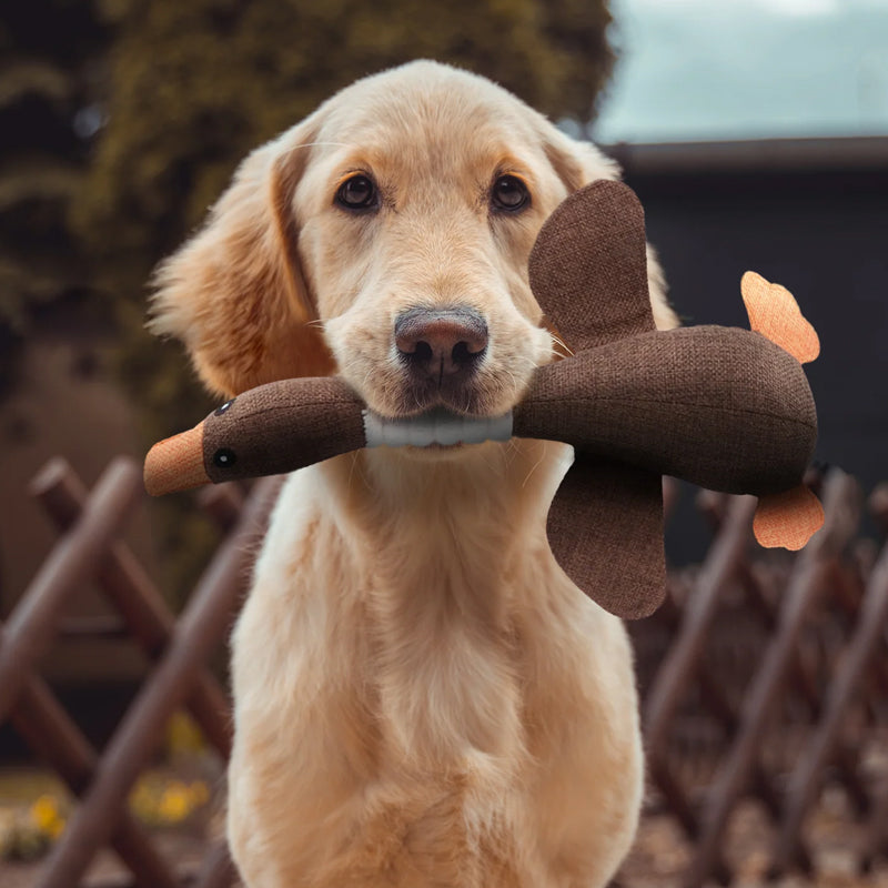 Jouet pour Chien Indestructible - Durable & Sûr | SolidPet