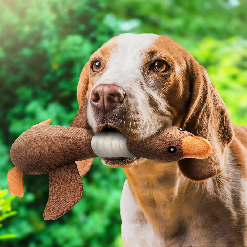 Jouet pour Chien Indestructible - Durable & Sûr | SolidPet