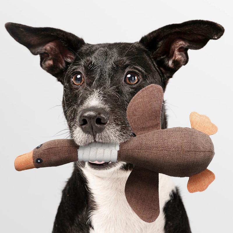 Jouet pour Chien Indestructible - Durable & Sûr | SolidPet