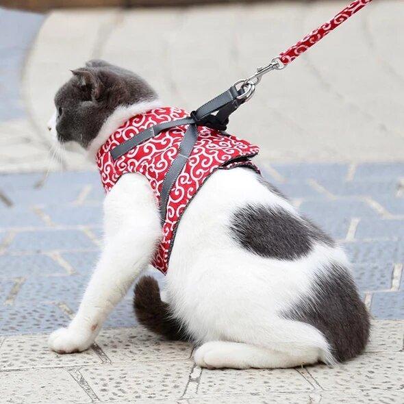Best-seller : Harnais anti-acné pour chats