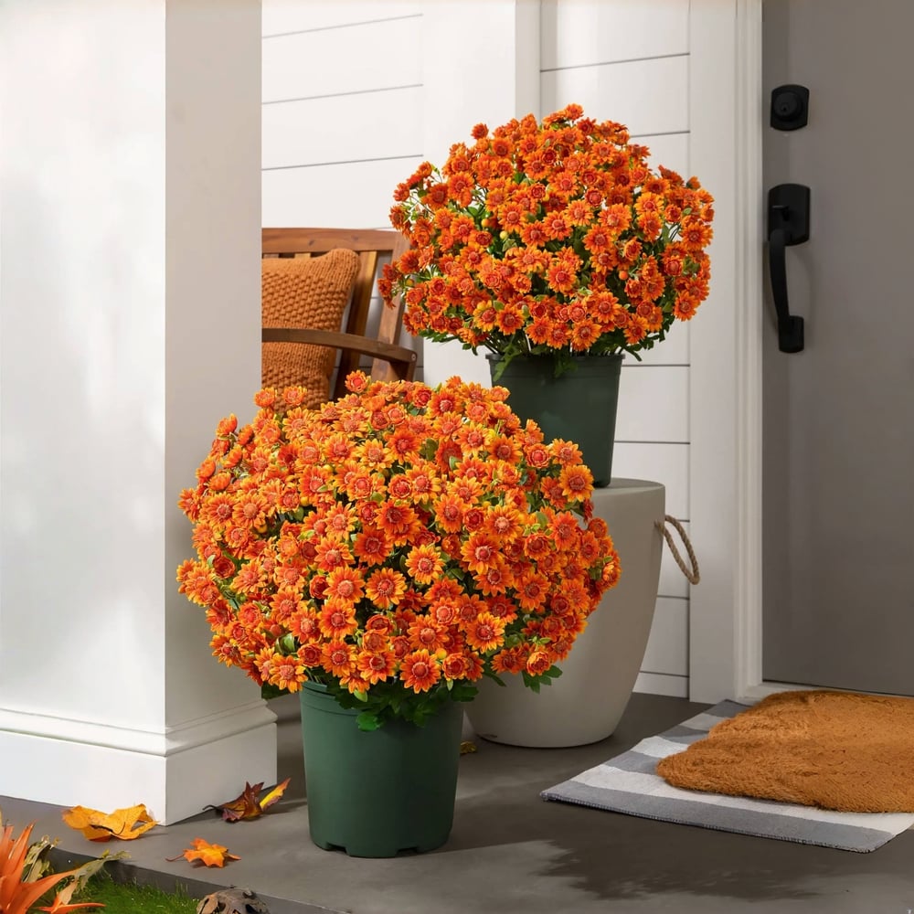 Chrysanthèmes artificiels | Résistants aux UV | Décoration d'automne pour l'extérieur | Tissu en soie mélangée réaliste