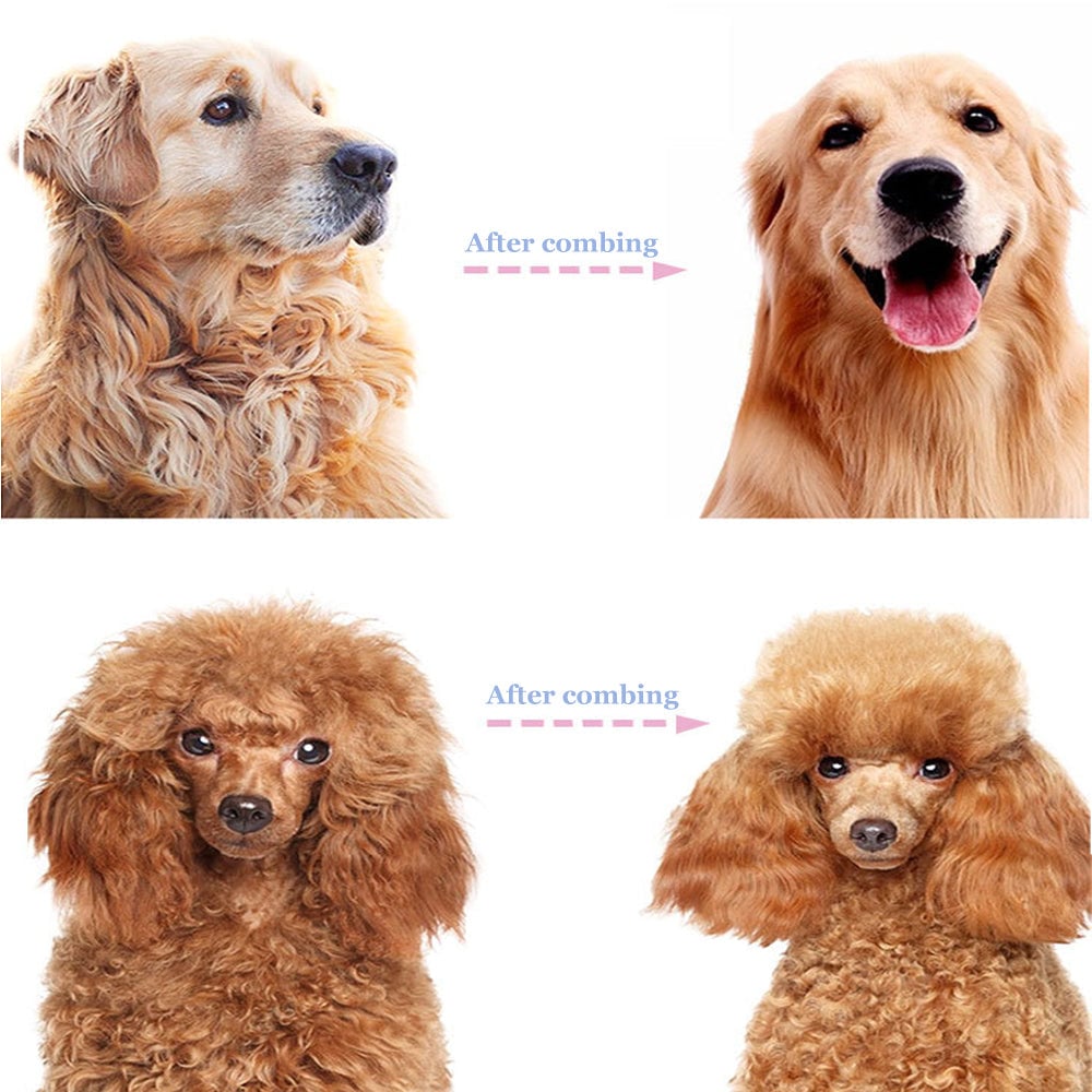 SOFTPAW – Peigne démêlant pour animaux de compagnie pour un toilettage doux et efficace