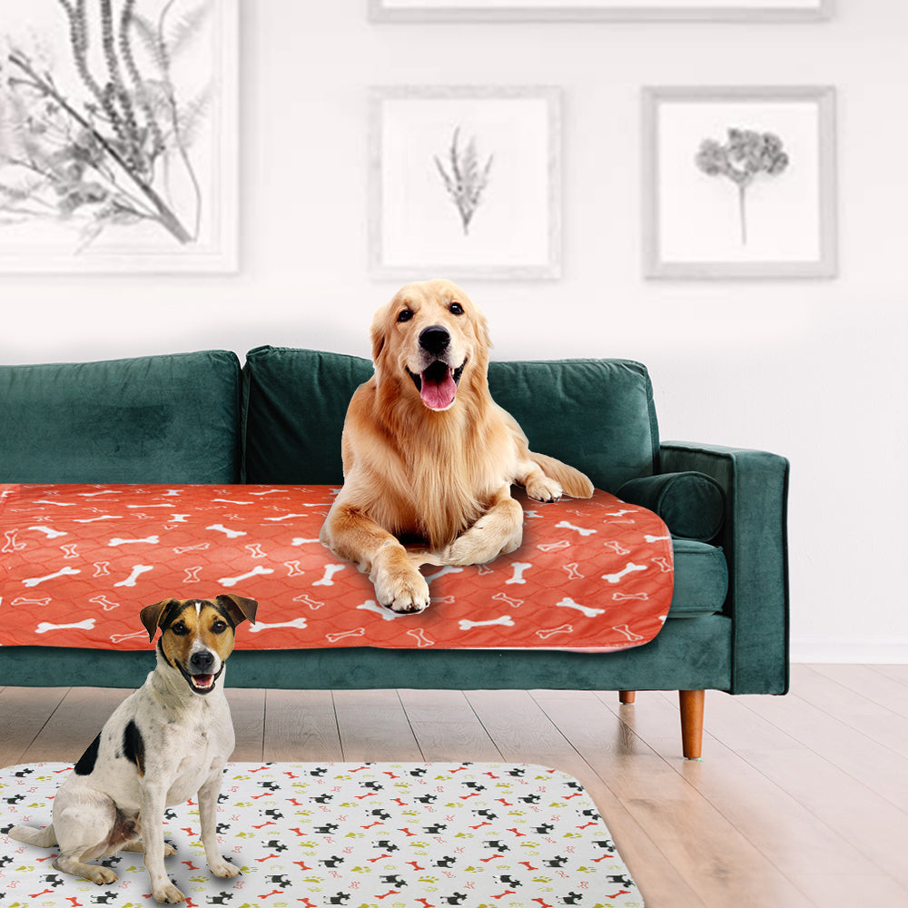 Tapis Pipi Durable pour Chiens - Absorbant et Écologique