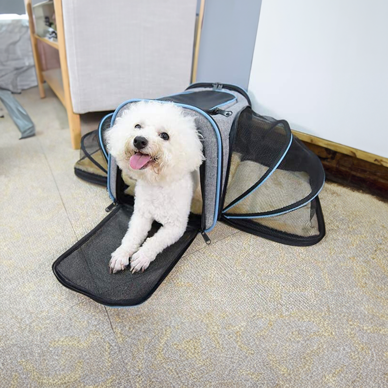 Transporteur pour Animaux Élargissable pour des Voyages Sans Stress