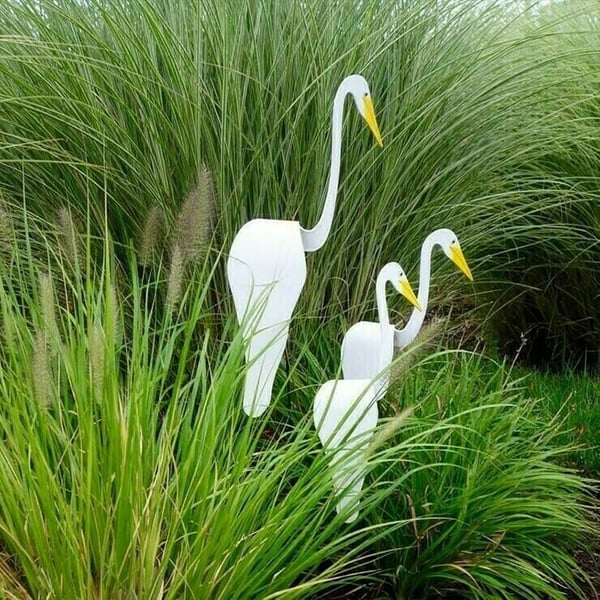 🐓Flamingo tourbillonnant dans le jardin💖