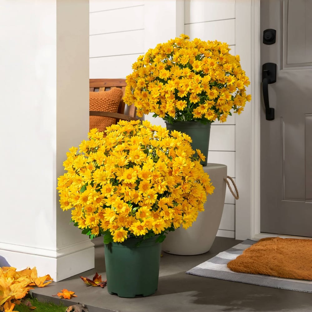 Chrysanthèmes artificiels | Résistants aux UV | Décoration d'automne pour l'extérieur | Tissu en soie mélangée réaliste