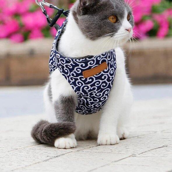 Best-seller : Harnais anti-acné pour chats