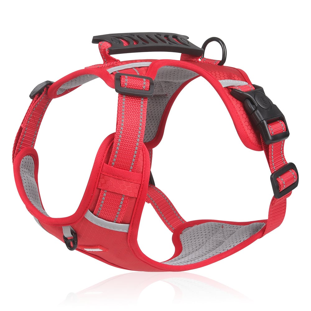 💥Vente de liquidation 49 % DE RABAIS🐕Harnais anti-traction pour animaux de compagnie