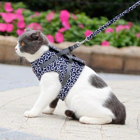 Best-seller : Harnais anti-acné pour chats