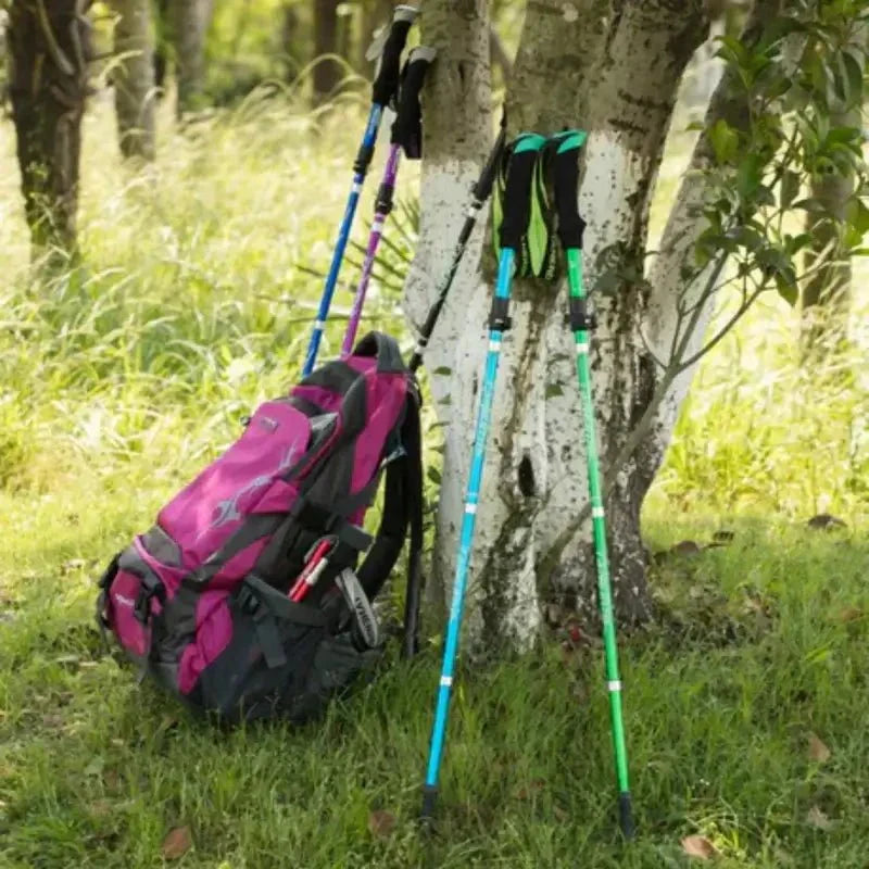 Bâton de Trekking en Aluminium Pliable pour des Randonnées Sans Effort