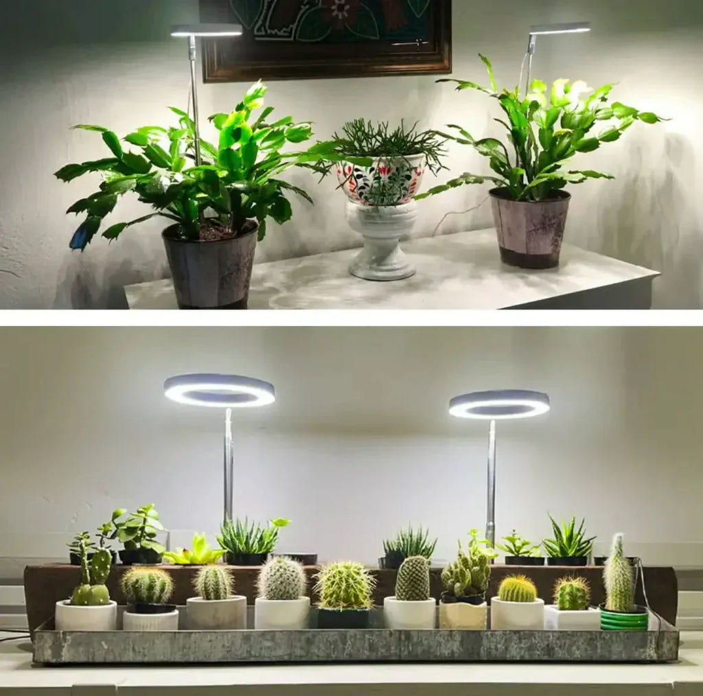 AdjustPlant | Lampe de culture LED réglable – Lumière optimale pour une croissance saine