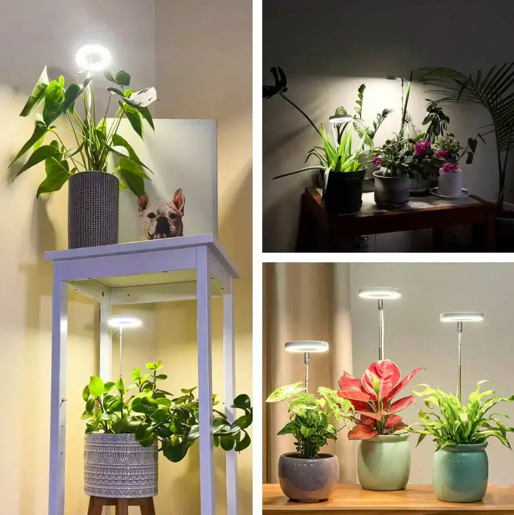 AdjustPlant | Lampe de culture LED réglable – Lumière optimale pour une croissance saine