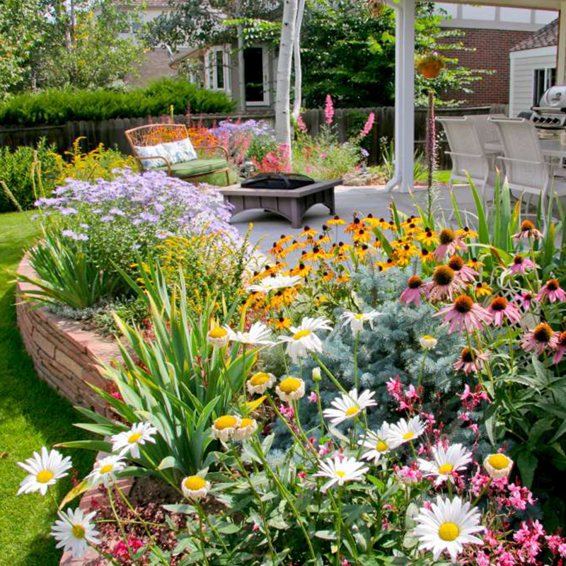 FlowerBloom™ | Mélange de fleurs vivaces pour une floraison toute l'année