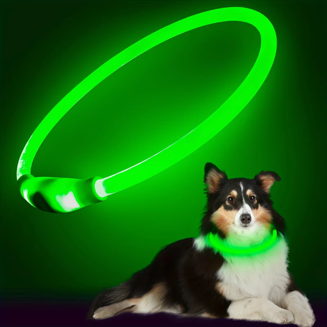 Collier LED GlowSafe pour Chien – Lumière de Sécurité Rechargeable USB