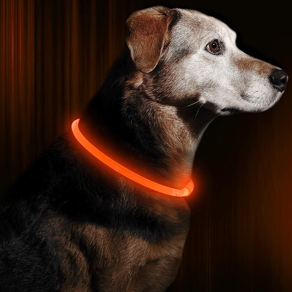 Collier LED GlowSafe pour Chien – Lumière de Sécurité Rechargeable USB