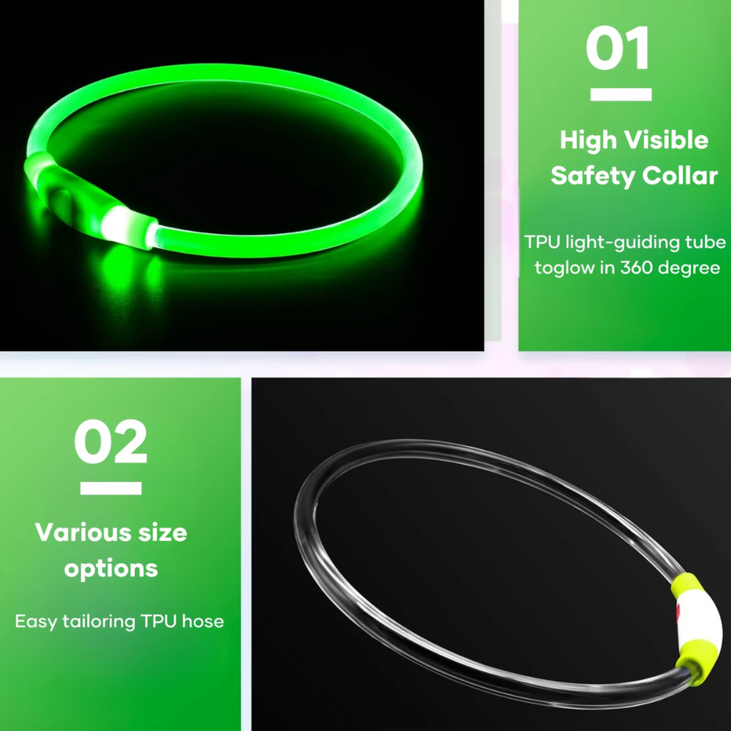 Collier LED GlowSafe pour Chien – Lumière de Sécurité Rechargeable USB