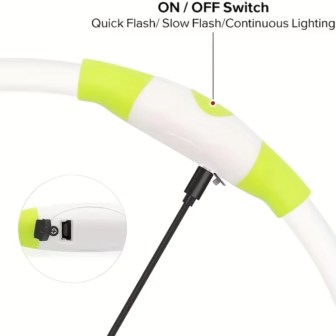 Collier LED GlowSafe pour Chien – Lumière de Sécurité Rechargeable USB