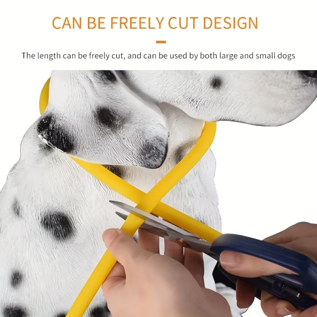 Collier LED GlowSafe pour Chien – Lumière de Sécurité Rechargeable USB