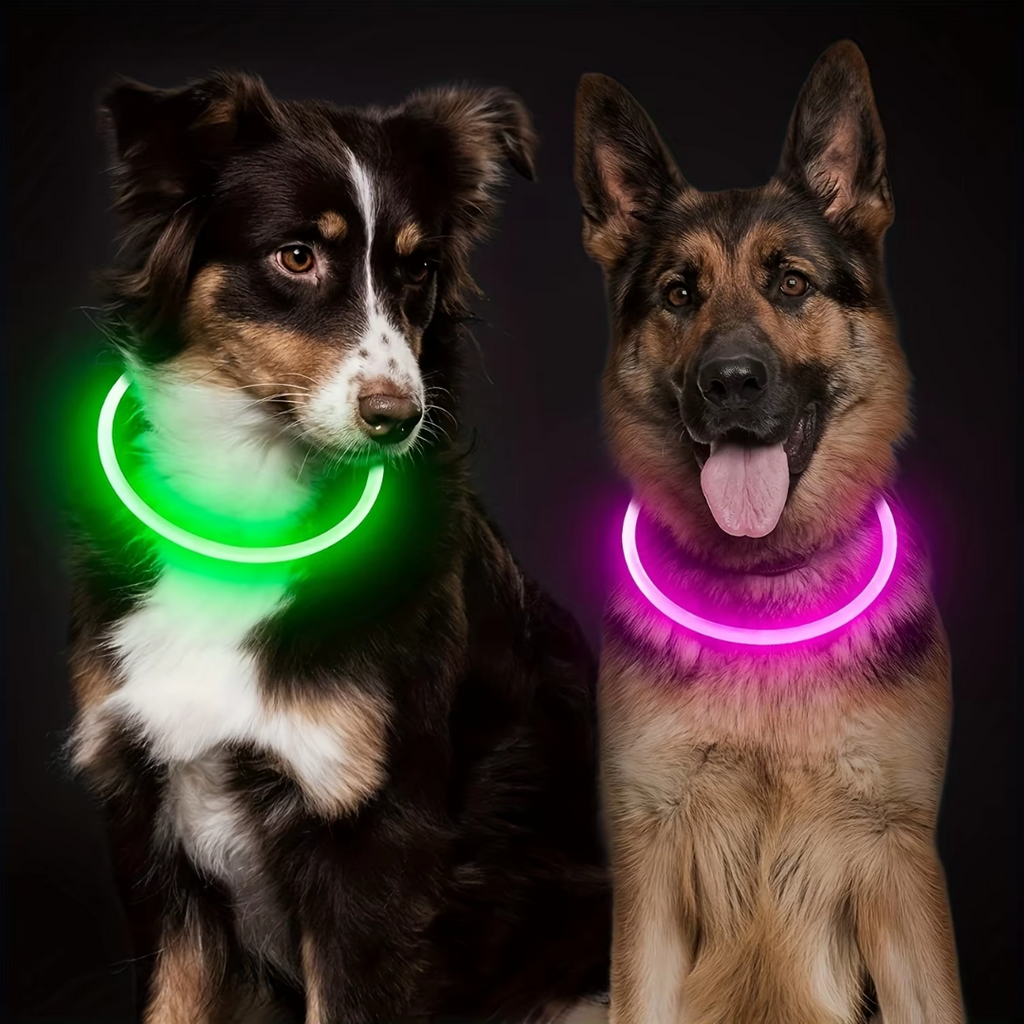 Collier LED GlowSafe pour Chien – Lumière de Sécurité Rechargeable USB