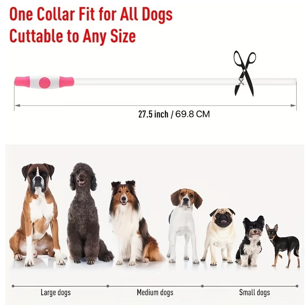 Collier LED GlowSafe pour Chien – Lumière de Sécurité Rechargeable USB